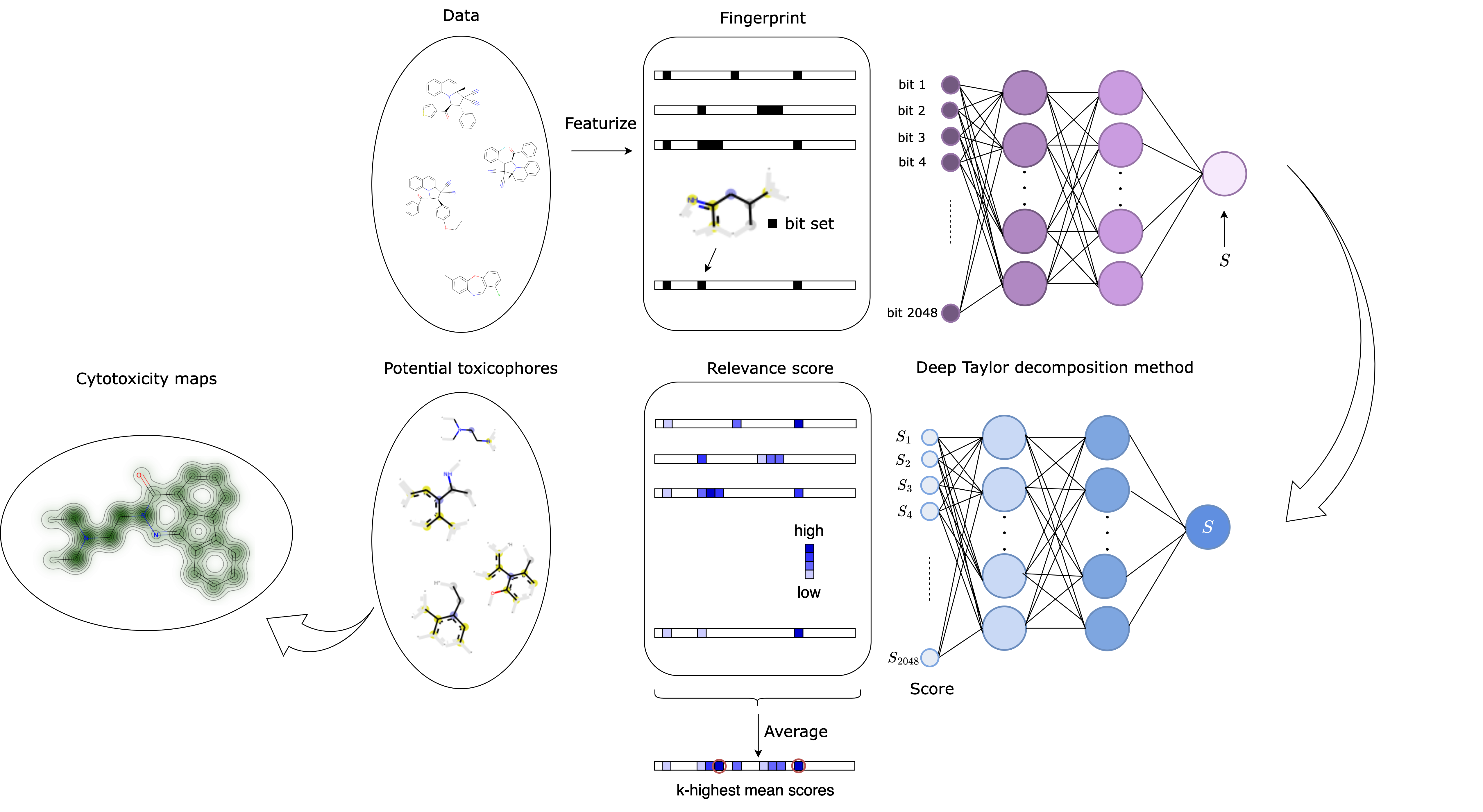 Explainable AI